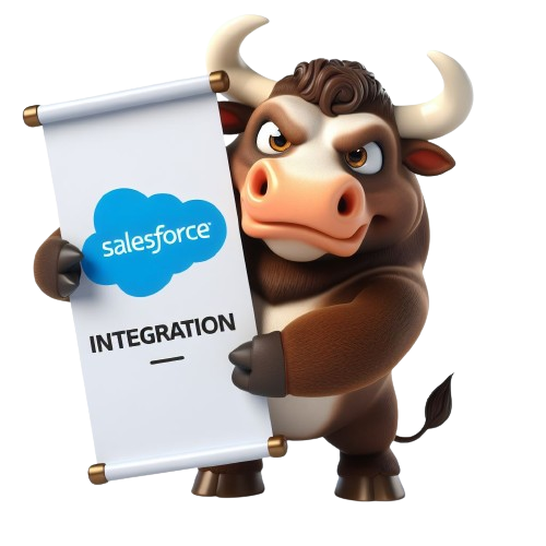 Salesforce Integration